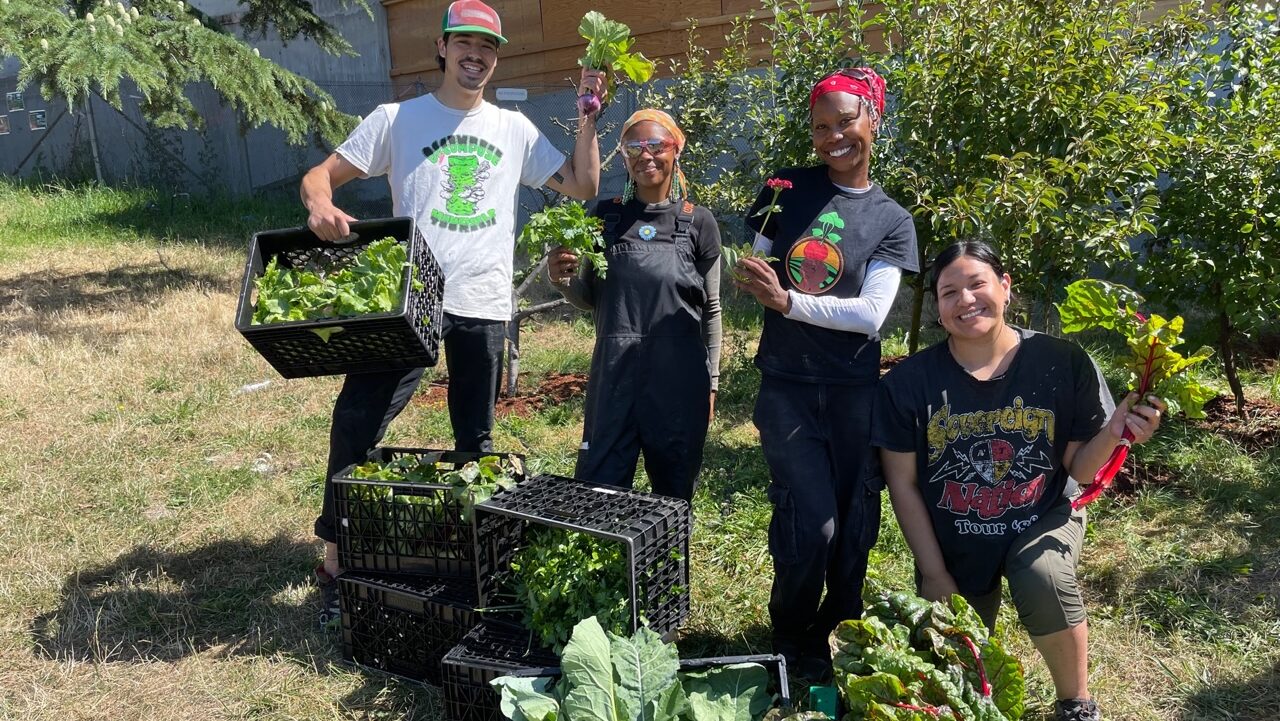 Four people on Small Axe Farm harvesting greens. One person is holding a crate full of greens in their right hand and a bushel of greens in their left hand. Two others are also holding up greens, and the fourth has a red flower.